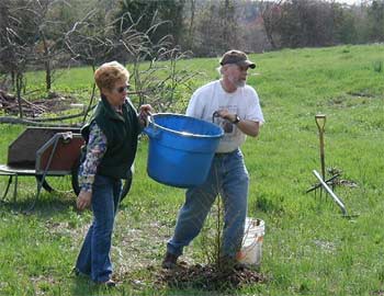 Maybeth Banks and Bruce Nichols plant trees